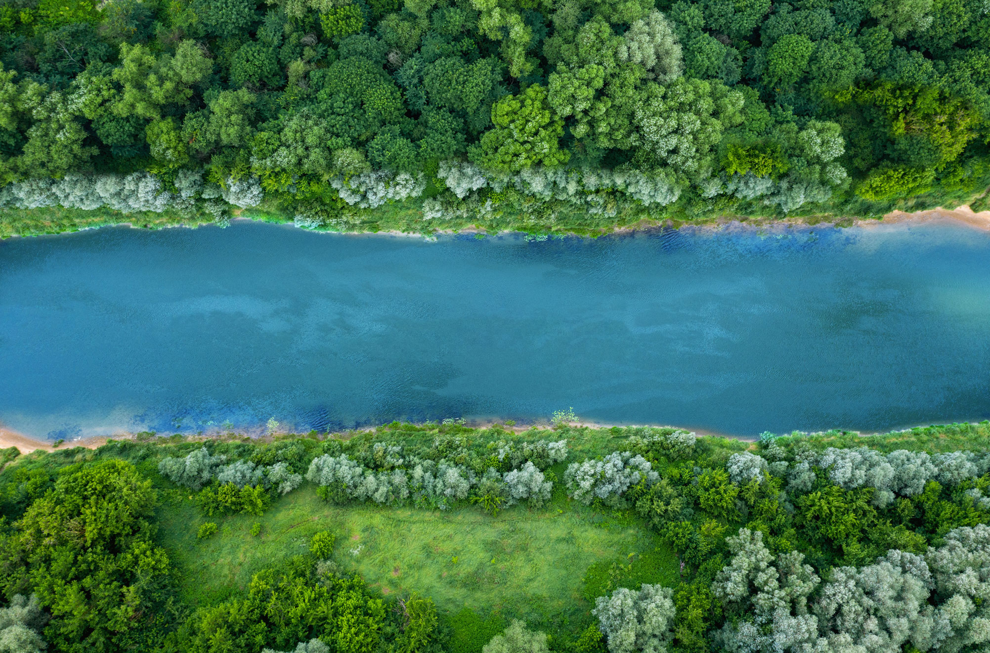 aerial view of a river flowing with lush trees on both sides